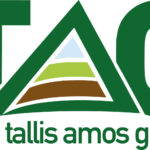 Tallis Amos Group